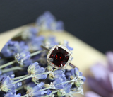 2ct Cushion Cut Red Garnet Engagement Ring 14k Yellow Gold Finish Halo Solitaire