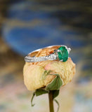 1.2ct Oval Cut Emerald Trilogy Engagement Ring with Accent 14k White Gold Finish