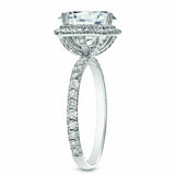 4.5ct Asscher Diamond Dual Halo Solitaire Engagement Ring 14K White Gold Over