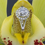 1.1Ct Round Cut Diamond Split Band Halo Engagement Ring 14K White Gold Finish